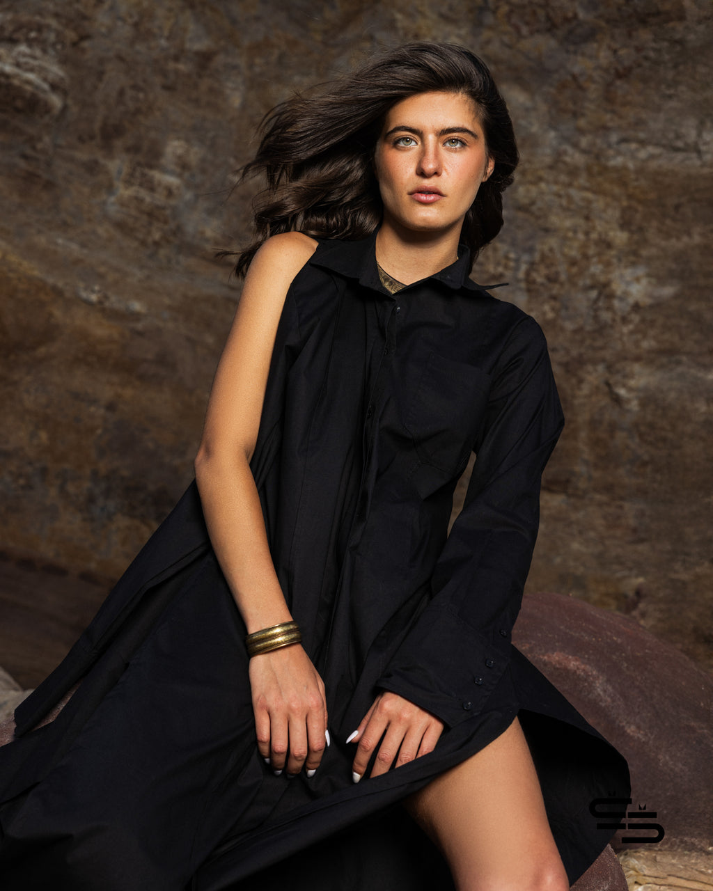 Wild Chicory Shirt Dress in Black