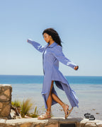 Wild Chicory Shirt Dress in Denim