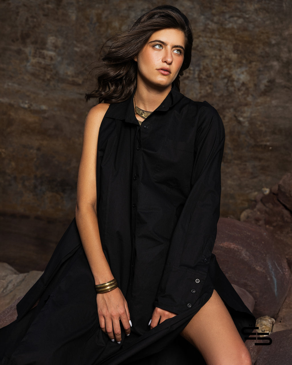 Wild Chicory Shirt Dress in Black